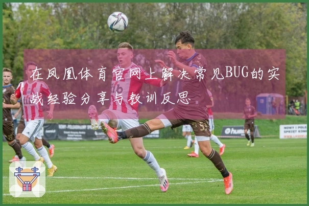 在凤凰体育官网上解决常见BUG的实战经验分享与教训反思