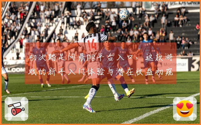 初次踏足问鼎pg平台入口，这款游戏的新手入门体验与潜在收益初窥