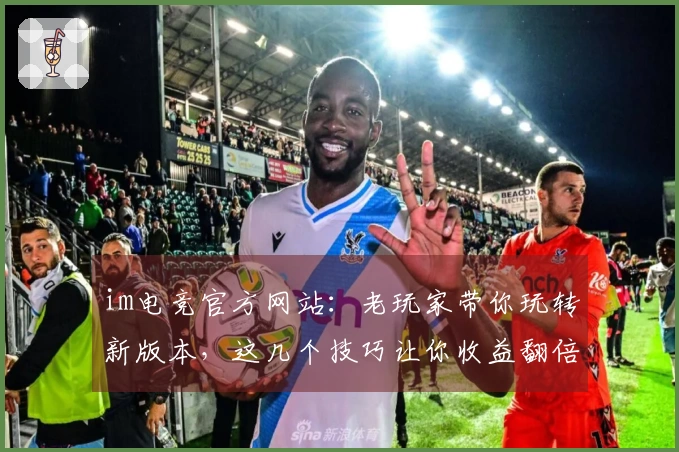 im电竞官方网站：老玩家带你玩转新版本，这几个技巧让你收益翻倍！