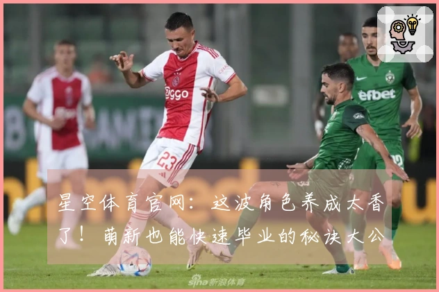 星空体育官网：这波角色养成太香了！萌新也能快速毕业的秘诀大公开