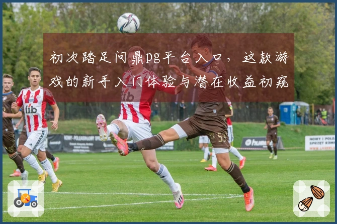 初次踏足问鼎pg平台入口，这款游戏的新手入门体验与潜在收益初窥